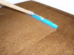 carpet cleaner Habor City