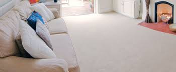 Habor City carpet cleaning
