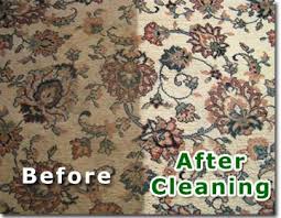 Habor City carpet cleaners