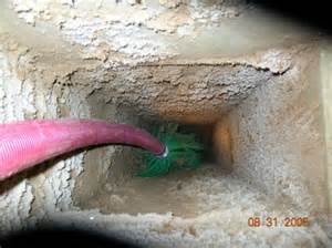 air duct cleaner Habor City