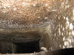 air duct cleaners Habor City