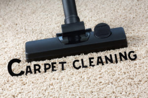 carpet cleaning Habor City